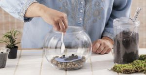 Inside a terrarium, it’s always gardening season 